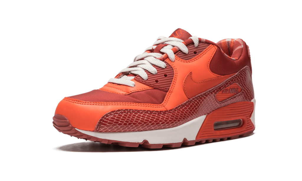 Air Max 90 QK "STEVE NASH"