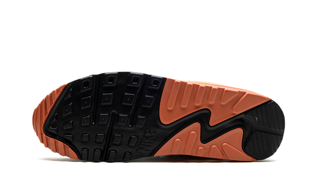 AIR MAX 90 MNS WMNS