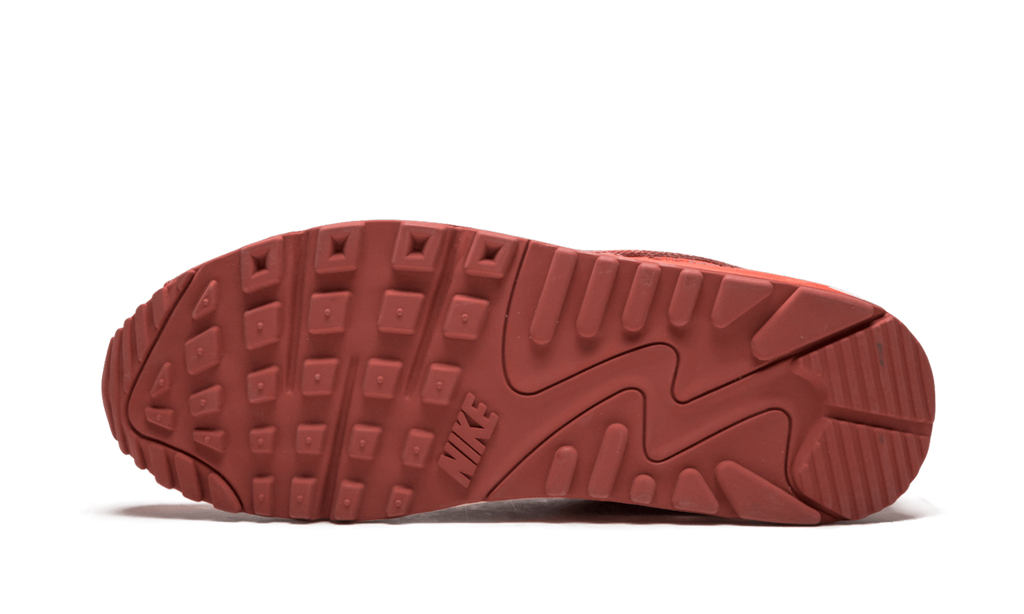 Air Max 90 QK "STEVE NASH"