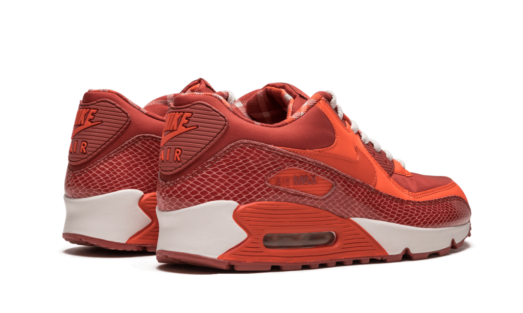 Air Max 90 QK "STEVE NASH"